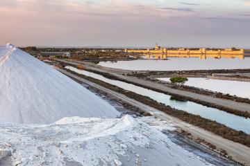 SALIN AIGUES MORTES