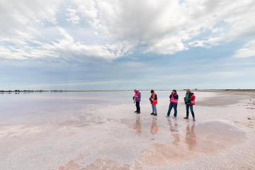 SALIN AIGUES MORTES