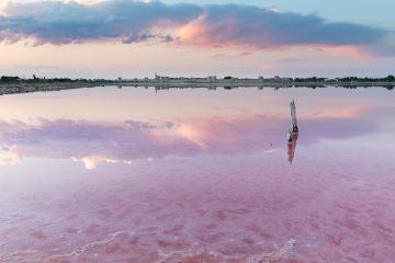 SALIN AIGUES MORTES